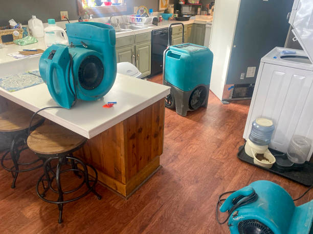 Best Ceiling water damage repair  in Voorheesville, NY