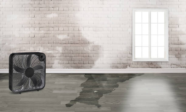 Carpet water damage restoration in Voorheesville, NY