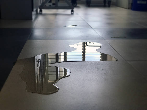 Best Water damage restoration specialists  in Voorheesville, NY