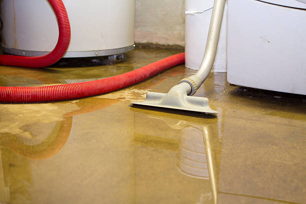 Best Water damage restoration near me  in Voorheesville, NY