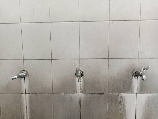 Best Carpet water damage restoration  in Voorheesville, NY