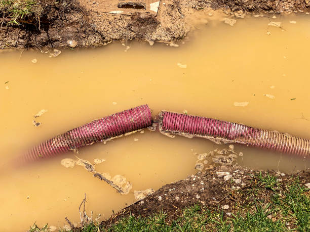 Best 24-hour water damage restoration  in Voorheesville, NY